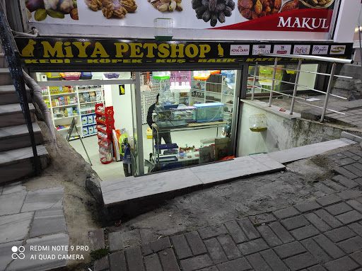 Miya Petshop | Sultangazi İstanbul - Evcil Hayvan Malzemeleri Mağazası