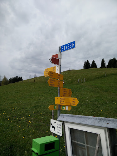 Augenweiden Fotografie Studio Appenzell - Herisau