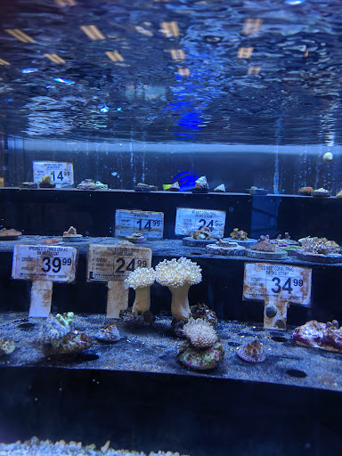 Petco image
