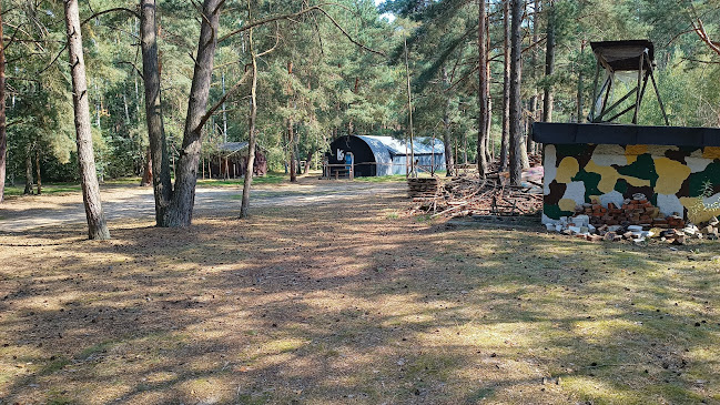 Harcerska Baza Obozowa Hufca ZHP Ziemi Wałbrzyskiej w Wilczu - Pole kempingowe