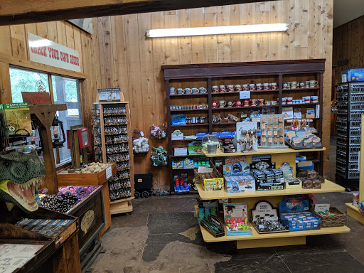 Tourist Attraction «Inner Space Cavern», reviews and photos, 4200 I-35, Georgetown, TX 78626, USA