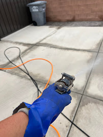 Salisbury Pest Solutions - Photo 7 - Car repair in St. George, UT, St. George