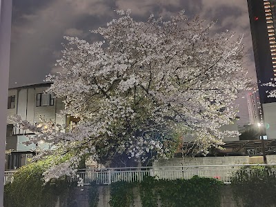 伏見橋