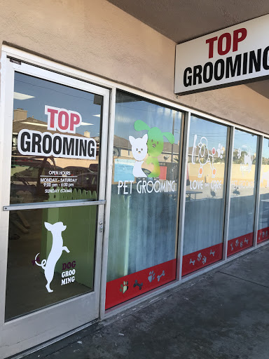 Top Grooming