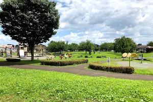 Hoshinomiya Park image