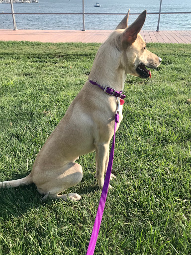 Pet Supply Store «PetSmart», reviews and photos, 2391 NJ-66, Ocean Township, NJ 07712, USA