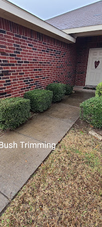 Bernal's Lawn Care - Photo 4 - Car repair in , Garland