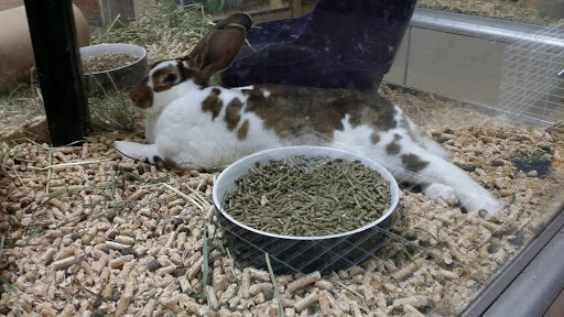 Garden Center «A W Brown Pet & Garden», reviews and photos, 144 Shaker Rd, East Longmeadow, MA 01028, USA