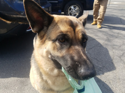 Pet Supply Store «Pet Supplies Plus», reviews and photos, 1170 Northern Blvd, Manhasset, NY 11030, USA