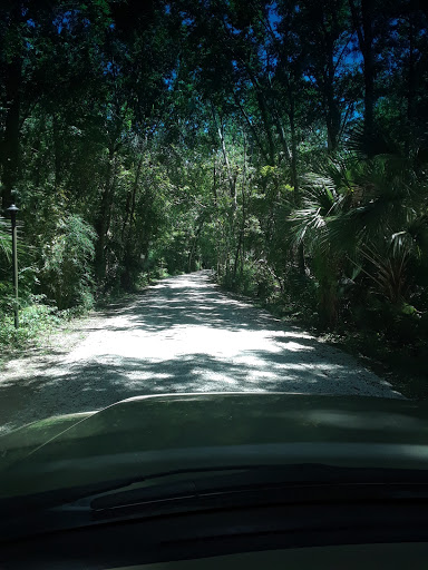 Nature Preserve «Scottsmoor Flatwoods Sanctuary East», reviews and photos, 6000 Magoon Ave, Mims, FL 32754, USA