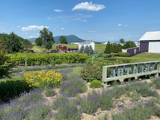 Farm «White Oak Lavender Farm & The Purple WOLF Vineyard», reviews and photos, 2644 Cross Keys Rd, Harrisonburg, VA 22801, USA