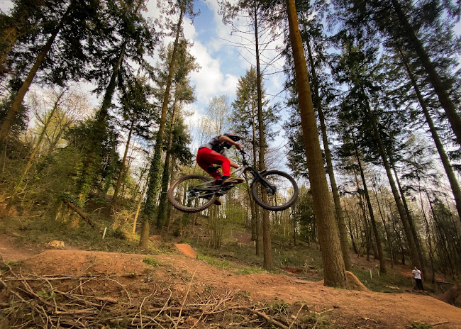 Ashton Hill Bike Park