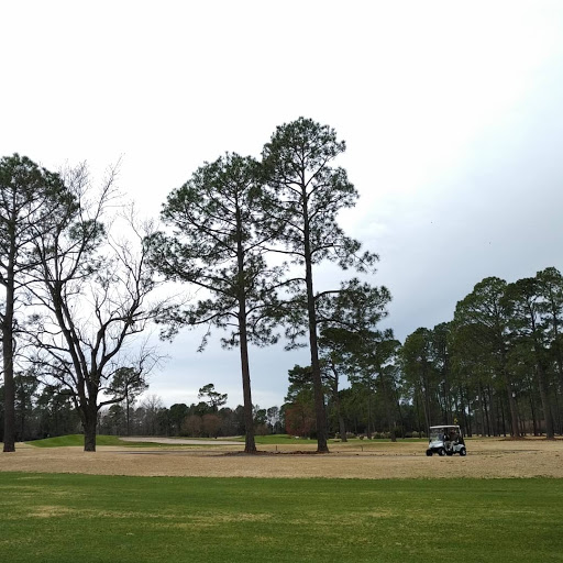 Golf Course «South Creek at Myrtle Beach National», reviews and photos, 4900 National Dr, Myrtle Beach, SC 29579, USA