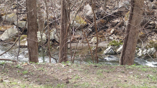 Water Park «Wild Bear Falls Water Park», reviews and photos, 915 Westgate Resorts Rd, Gatlinburg, TN 37738, USA