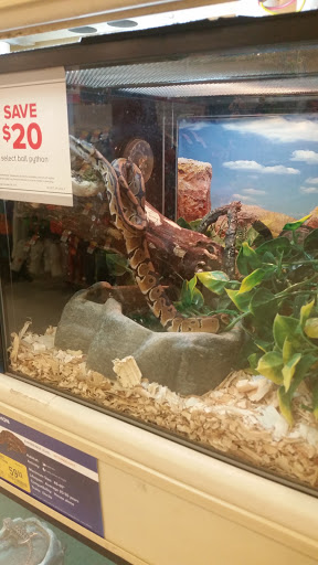 Pet Supply Store «PetSmart», reviews and photos, 1013 W University Ave, Georgetown, TX 78628, USA