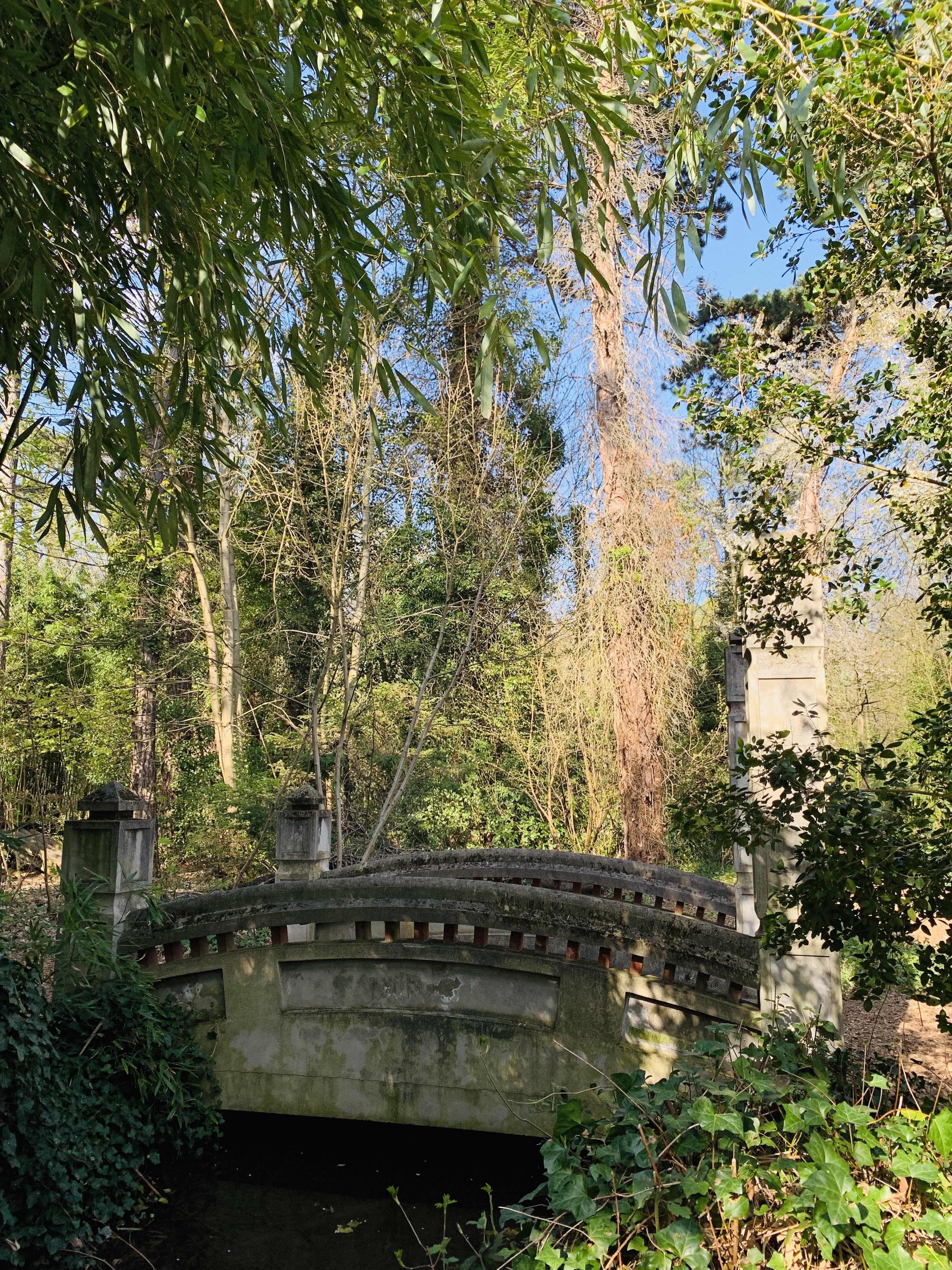 Photo n° 41 de l'avis de Hugo. fait le 22/04/2019 à 13:18