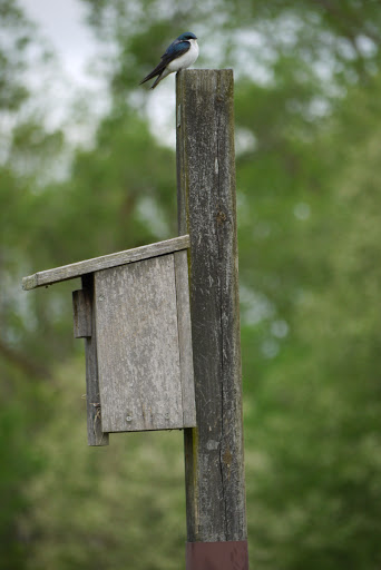 Nature Preserve «Leonard Preserve», reviews and photos, N Union St, Manchester, MI 48158, USA