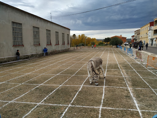 Barras calistenia - C. dEsteve Urgelles, 1M, 46870 Ontinyent, Valencia