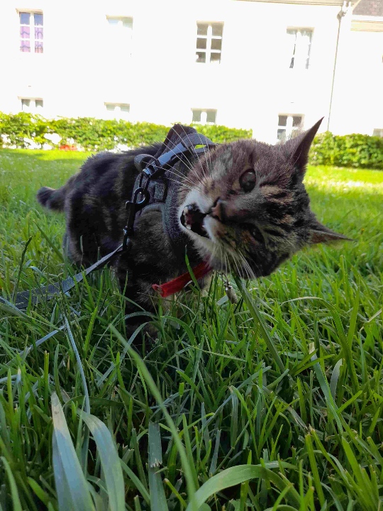 Photo n° 3 de l'avis de Amélie.l fait le 29/06/2021 à 17:40