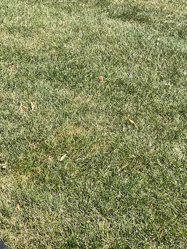 Golf Course «Tanglewood Golf Course», reviews and photos, 22805 Country Club Dr, South Lyon, MI 48178, USA