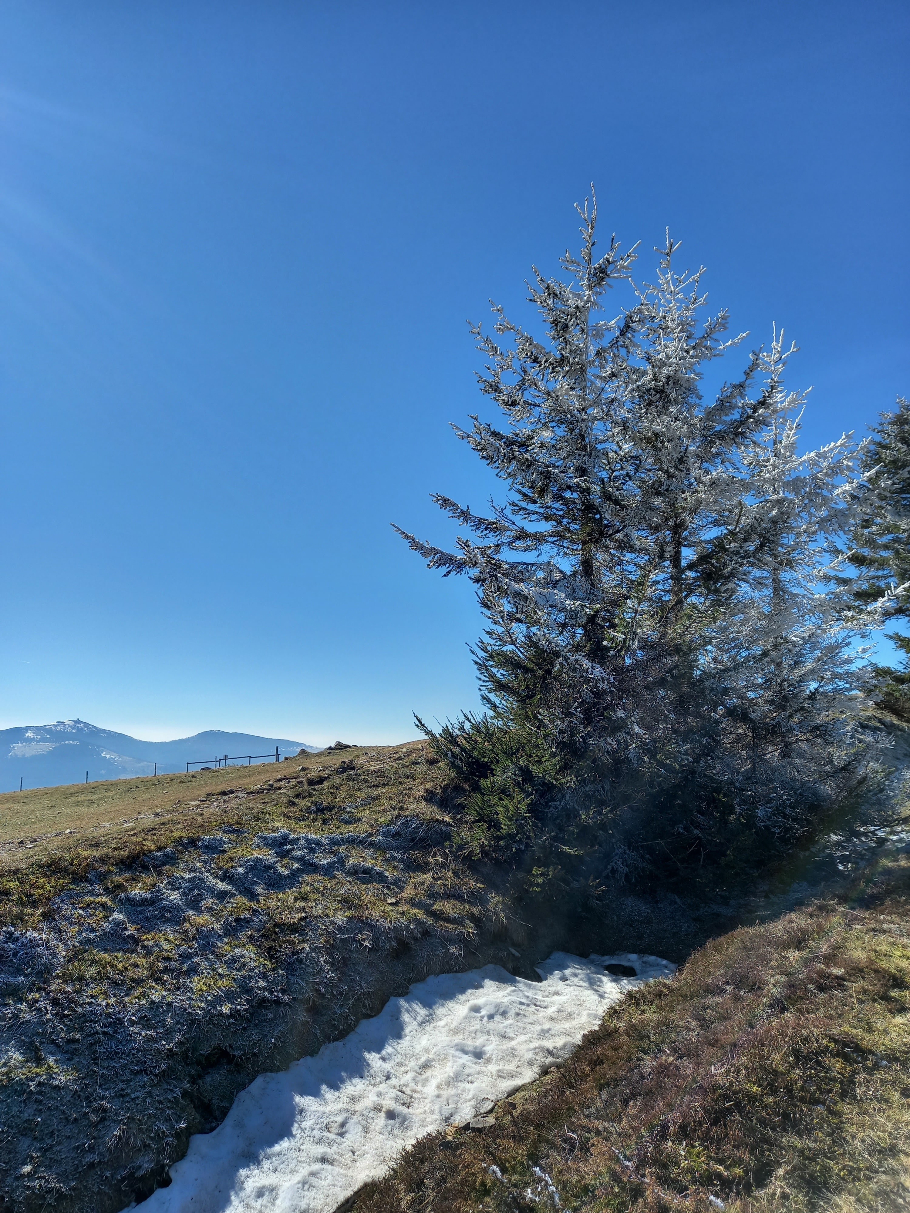 Photo n° 2 de l'avis de Hervé.o fait le 28/02/2021 à 19:45