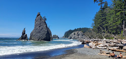 Foto de Rialto Beach com muito limpo nível de limpeza