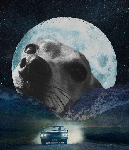 Print Shop «Bishop Canvas Printing», reviews and photos, 124 W Jefferson Blvd, Dallas, TX 75208, USA