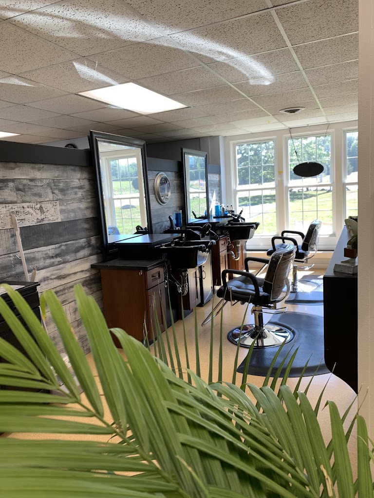 Salon 1247 03870