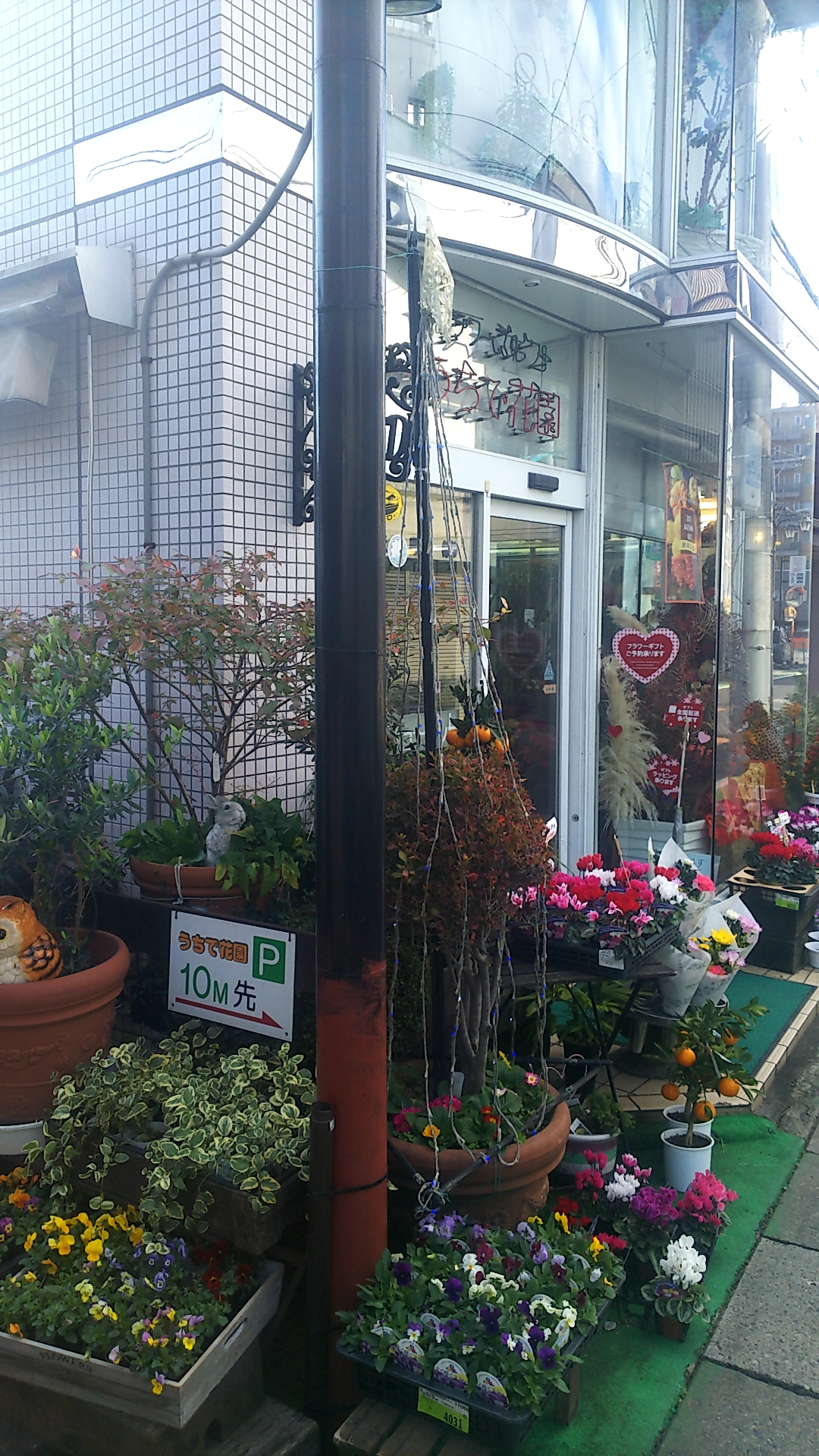 うちで花園 市内で朝霞市
