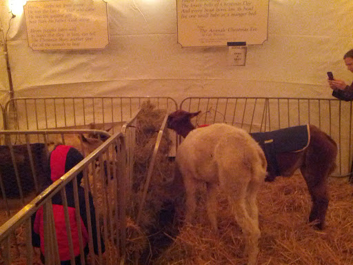 Place of Worship «The Grotto», reviews and photos, 8840 NE Skidmore St, Portland, OR 97220, USA