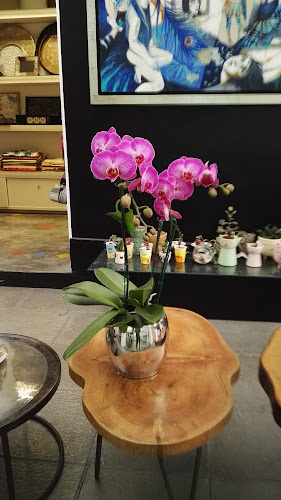 Orquídeas Extasis - San Isidro