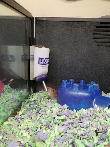 Pet Supply Store «PetSmart», reviews and photos, 742 S Meadow St, Ithaca, NY 14850, USA