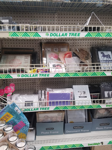 Dollar Store «Dollar Tree», reviews and photos, 8653 Columbus Pike, Lewis Center, OH 43035, USA