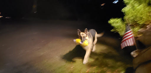 Pet Supply Store «Pet Town», reviews and photos, 1948 SE Lund Ave #101, Port Orchard, WA 98366, USA