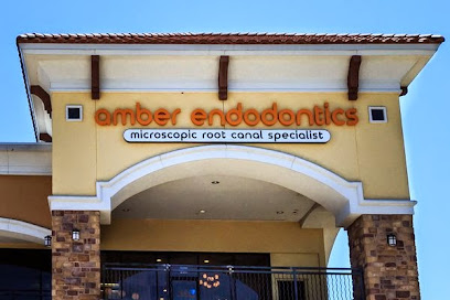 Amber Endodontics