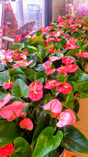 Discount Store «Walmart», reviews and photos, 795 Texas Ave, Bridge City, TX 77611, USA