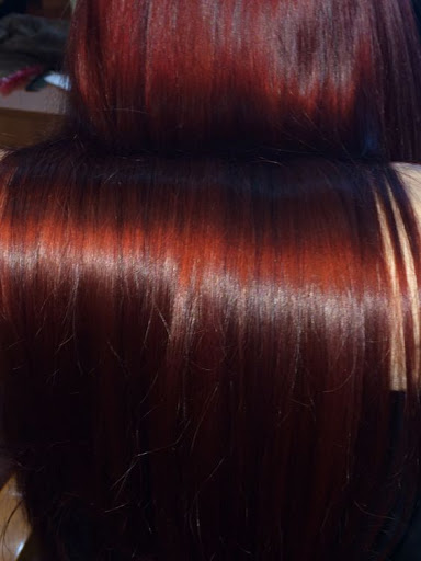 3801 S Manhattan Ave, Tampa, FL 33611, USA