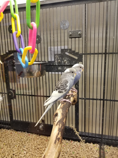 Pet Supply Store «PetSmart», reviews and photos, 11132 Abercorn St, Savannah, GA 31419, USA