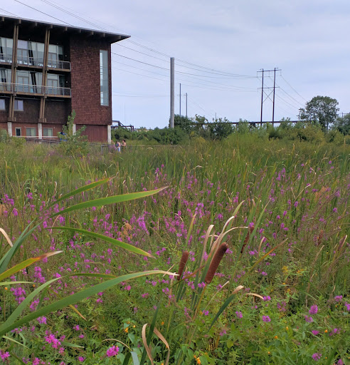 Nature Preserve «DuPont Environmental Education Center of Delaware Nature Society», reviews and photos, 1400 Delmarva Ln, Wilmington, DE 19801, USA