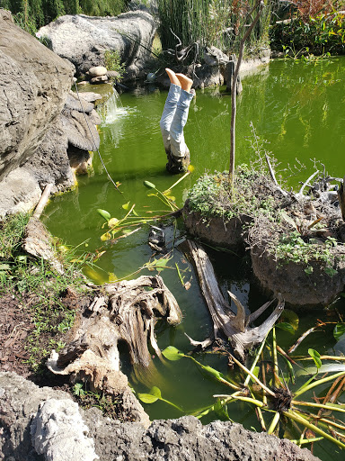 Pet Store «Ponds & Plants», reviews and photos