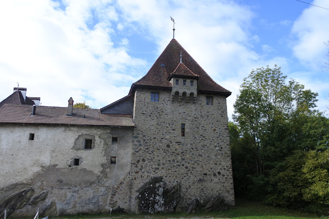 Rezensionen über Société coopérative du Château de Vaulruz in Bulle - Matratzengeschäft