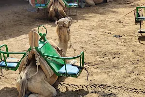 Camel Park Arteara image