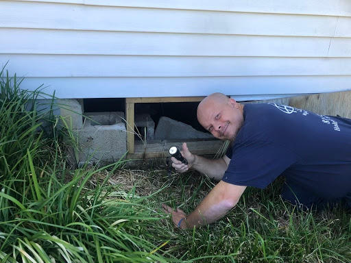 Contractor «Healthy Spaces», reviews and photos