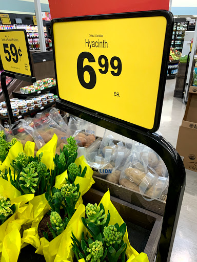 Grocery Store «Food Lion», reviews and photos, 7013 Lankford Hwy, Oak Hall, VA 23416, USA