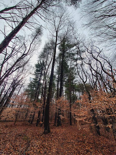 Nature Preserve «Fern Cliff Nature Preserve», reviews and photos, W County Rd 375 S, Greencastle, IN 46135, USA