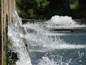 SAS Pisciculture Des Eaux de L Inval Edouard Borrèze