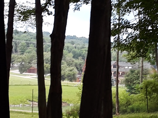 Restaurant «Hidden Valley Animal Adventure», reviews and photos, 2887 Royce Rd, Varysburg, NY 14167, USA