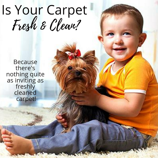 Carpet Cleaning Service «Indy Carpet Cleaning», reviews and photos, 5541 Guilford Ave, Indianapolis, IN 46220, USA