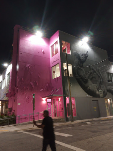 Art Museum «Wynwood Walls», reviews and photos, 2520 NW 2nd Ave, Miami, FL 33127, USA