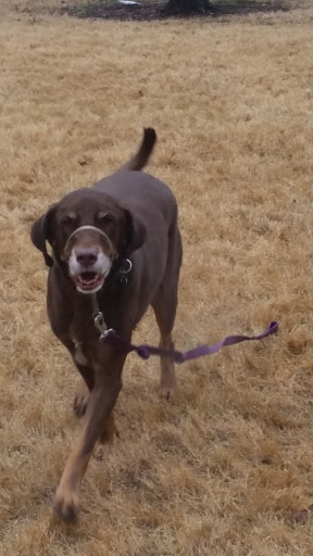 Park «Germany Park», reviews and photos, 6401 Lomo Alto Dr, Dallas, TX 75205, USA